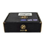 دنده شماره 2 قدیم (IACE) تیبا کوارت KOART(TN03032253) - تصویر 6