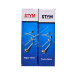 سوپاپ دود و هوا تیبا-ساینا-کوئیک ساوه (STYM) استیم - تصویر 6