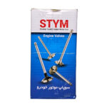 سوپاپ دود و هوا تیبا-ساینا-کوئیک ساوه (STYM) استیم - تصویر 5
