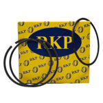 رینگ موتور تعمیر اول سایز 25 تیبا RKP(پارس)
