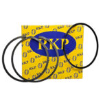 رینگ موتور نسل جدید پژو 405 XU7 RKP(پارس)